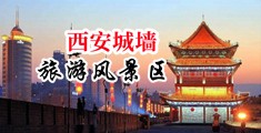 销魂少妇欧美k8中国陕西-西安城墙旅游风景区